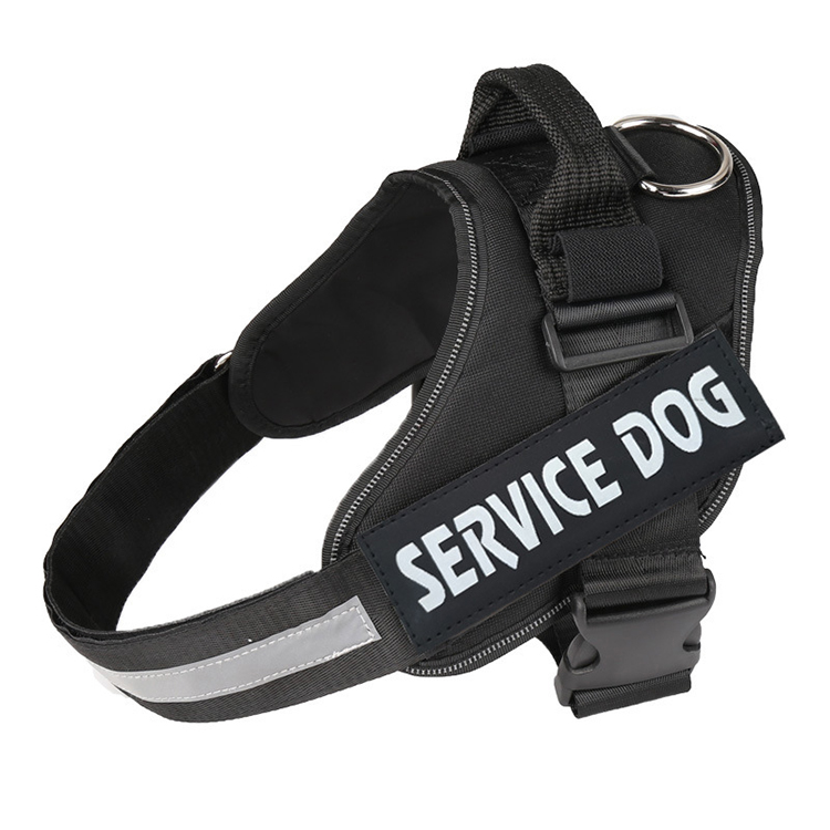 Reversible Dog Harness Luxury Dog Harness Leash Set Custom