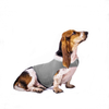 New Dog Comfort Clothes Pet Mood Calming Clothes Anxiety Relieving Dog Jacket