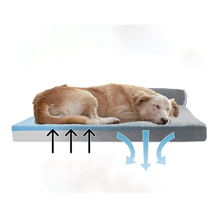 High Evaluation Design for Summer, Cooling Dog Bed