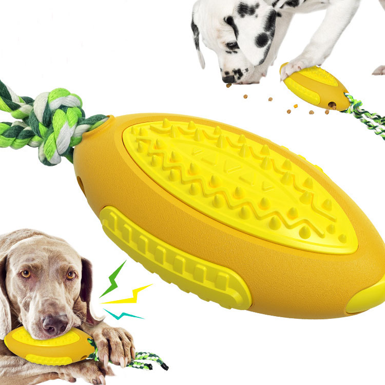 Amazon Sound Frisbee Teething leaky ball dog toy