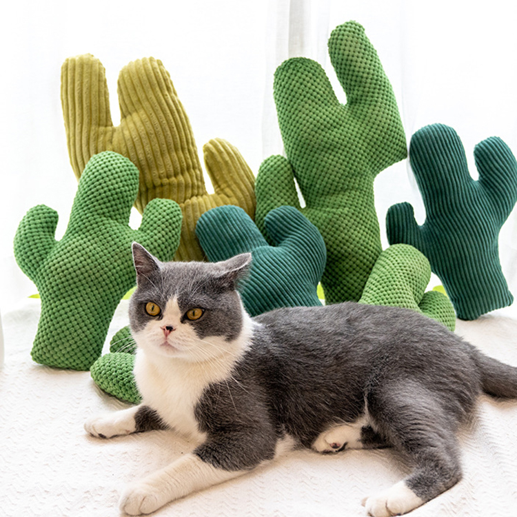 Catnip Handmade Cactus Catnip Toys for Cats