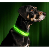 Led Fashion Wholesale Sustainable Nylon Dog Neck Collar