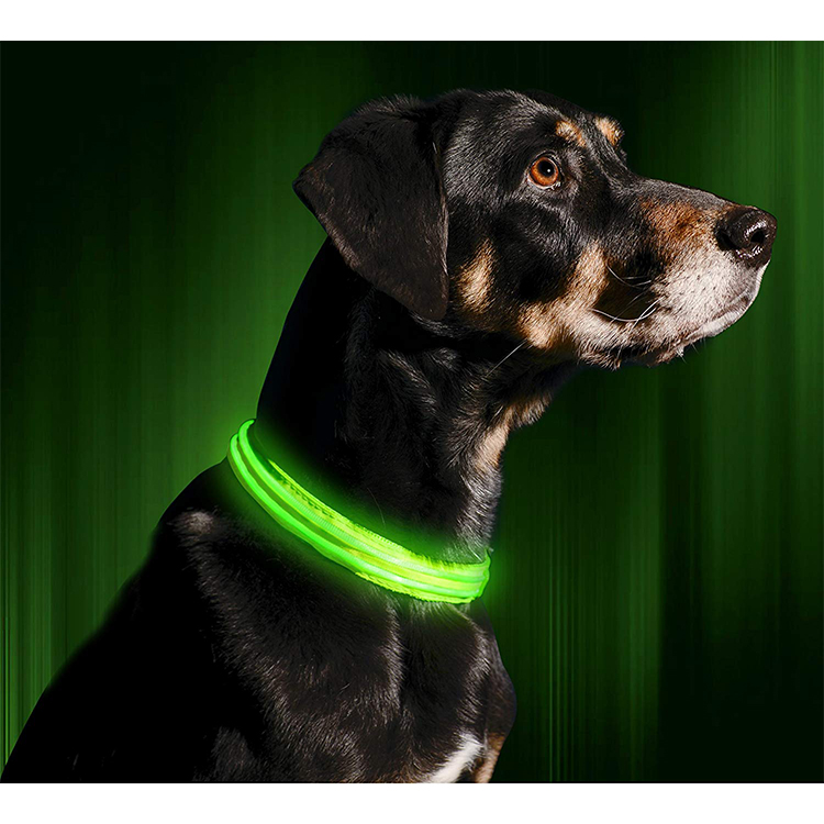 Led Fashion Wholesale Sustainable Nylon Dog Neck Collar