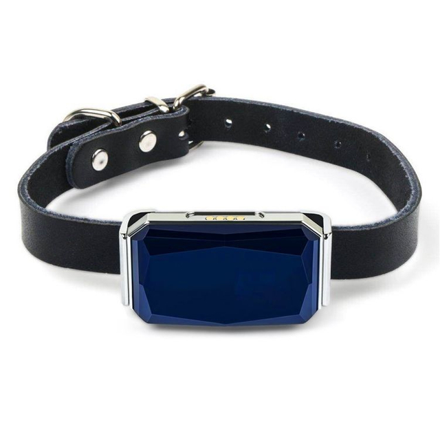 Electric Wholesale Custom Working Inspired Dog Collar