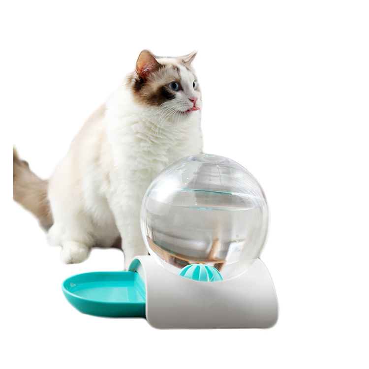 Cat Water Fountain Filters for Cat Cat Water Fountain Filters Water Fountain for Pets Filter 