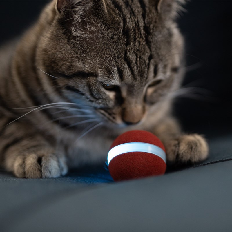  New Inventions Pet Cat Electronic Wicked Smart Balls Automatic Rolling Interactive Cat Toy Ball