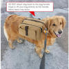 Wholesale Custom Dog Harness Small Large Dog Harness Backpack