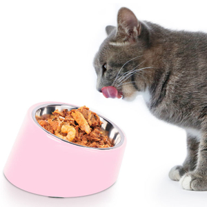 Stainless Steel Pet Bowl with Tilting Bowl Feeding Bowl