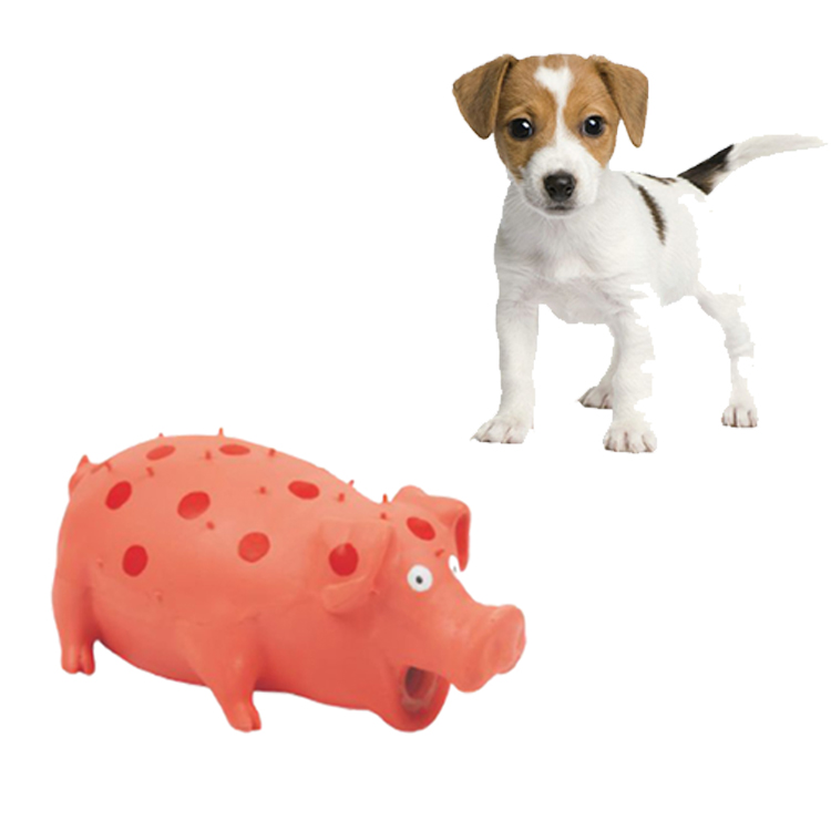 Gift Bite Pig Squeak Custom Chew Dog Toys