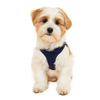 Pet Soft Vest Adjustable Leash Harness Pet Dog Harness