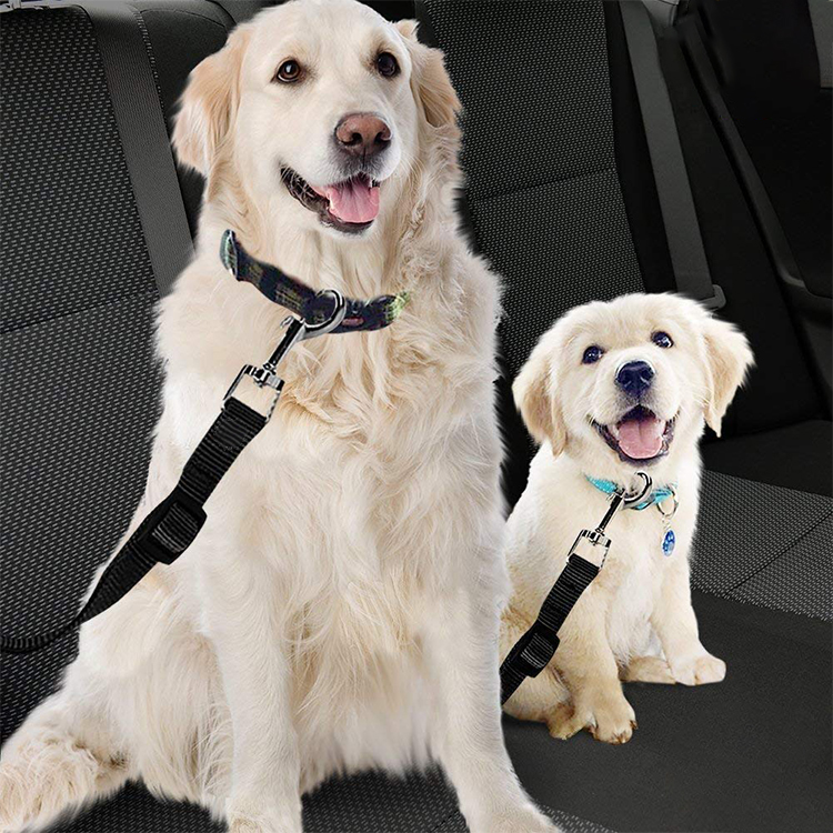 Medium Vehicle Safety Adjustable Durable Strapping Pet Belt