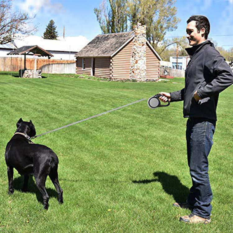 Wholesale Training Designer Puppy Floating Adjustable Pet Rope Leads 