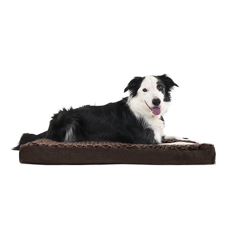 Gel Jumbo Xxl Oval Foam Memory Dog Bed for Large Pet with Removable Cover