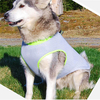 Mesh Mesh Dog Harness Waterproof Dog Pet Harness Vest