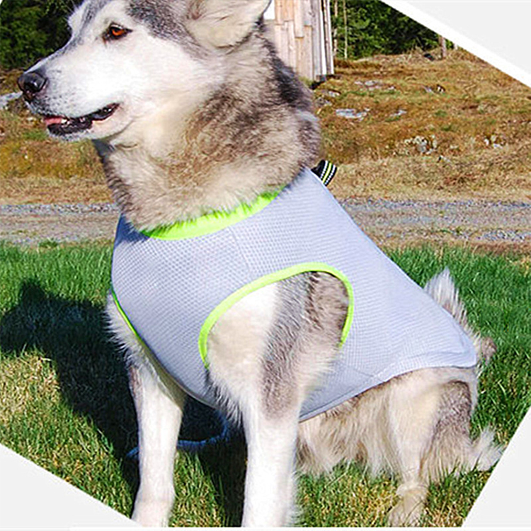 Mesh Mesh Dog Harness Waterproof Dog Pet Harness Vest