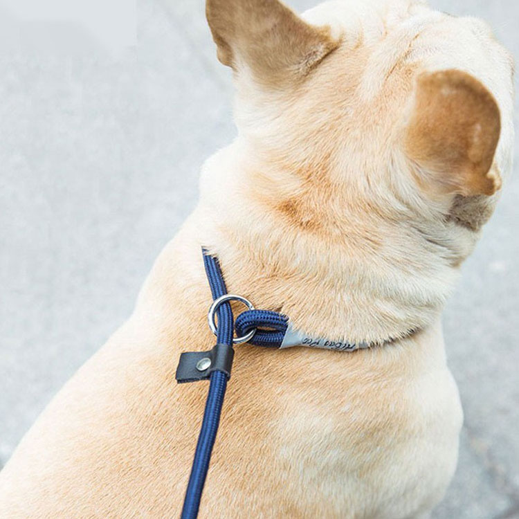 Dog Leash Chain Collar Medium-sized Small Dog Explosion-proof Flush Teddy Anti-break 