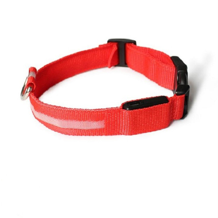 Webbing Sublimation Fashion Nylon Wholesale Dog Collar Led