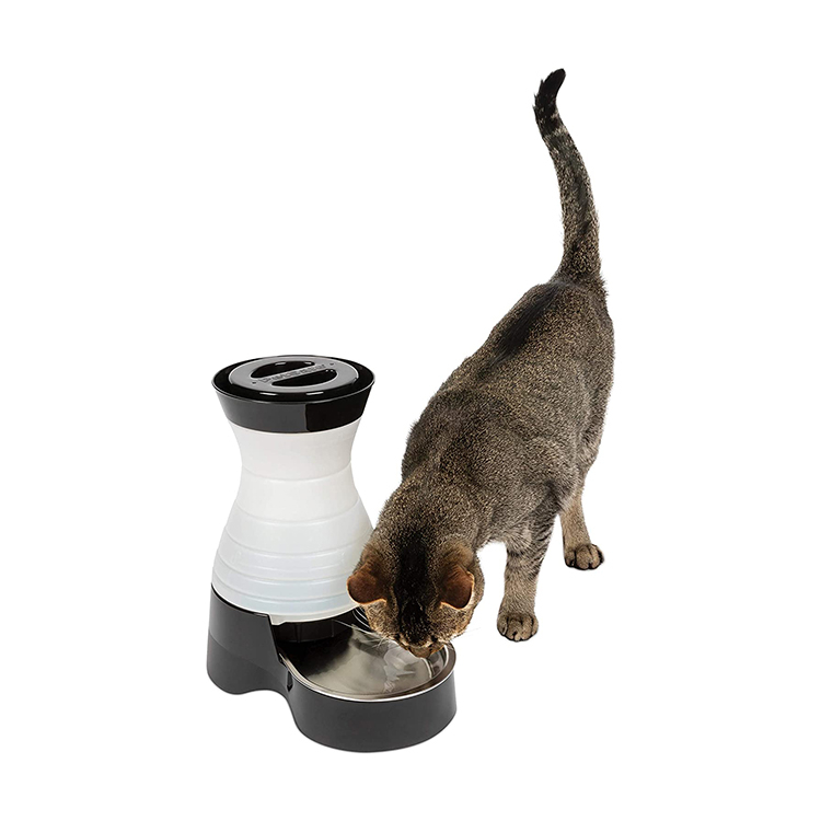 Automatic Dog and Cat Feeder or Water Dispenser