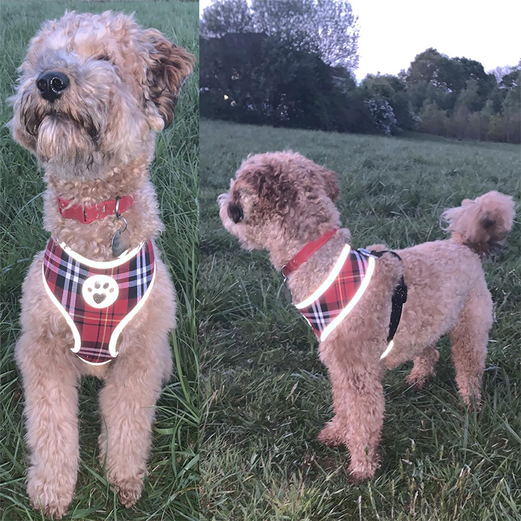 Adjustable Custom Air Mesh Vest Pastel Pet Service Dog Harness