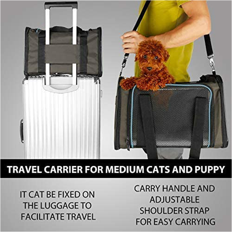 Fashion Carrier Travel Expandable Pet Bag Carrier