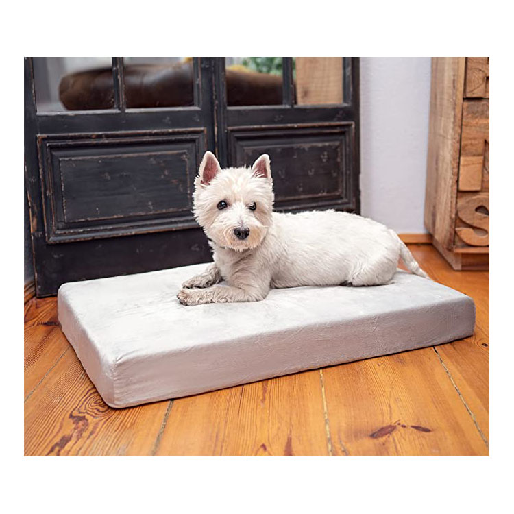 Keep calm and cool especially designed for dog bed