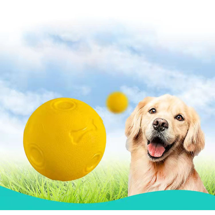 Solid Elastic Resistance Dog Will Like Toys
