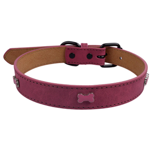 Factory Direct Pet Colorful Bone Dog Collar Small And Medium-sized Dog Travel Traction Lost Collar 