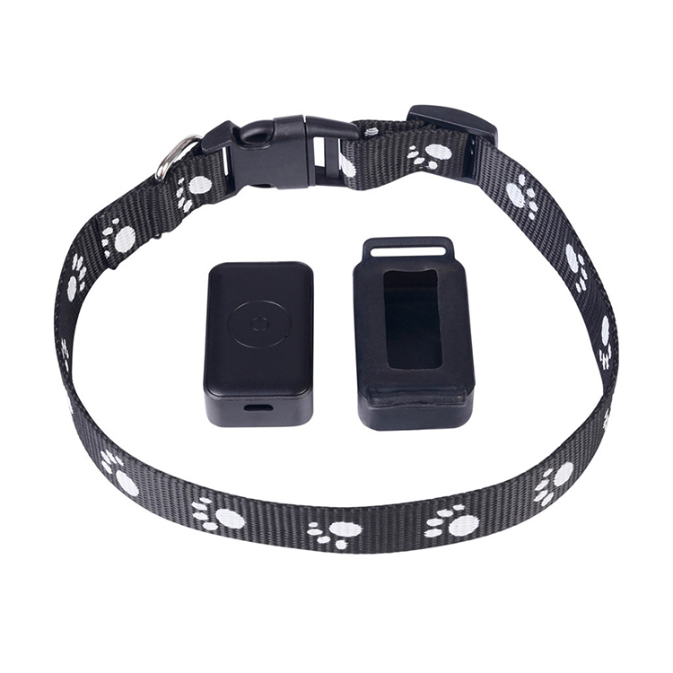 Fashion Innovative No Bark Personalized Black Dog Chain Collar