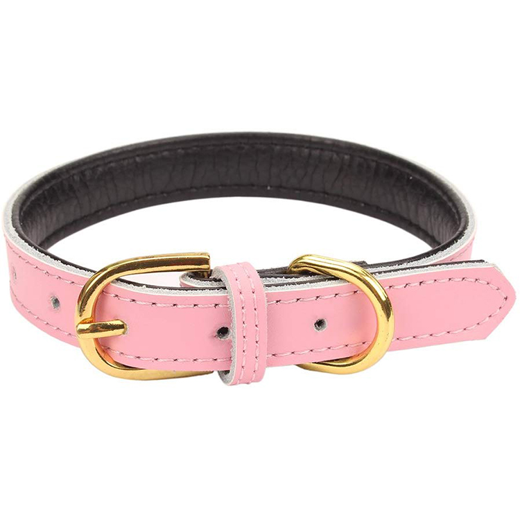 Padded Leather Soft Colorful Designer Custom Dog Fashion Collar