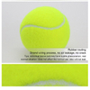 Wholesale Interactive Durable Chew Dog Toys Balls