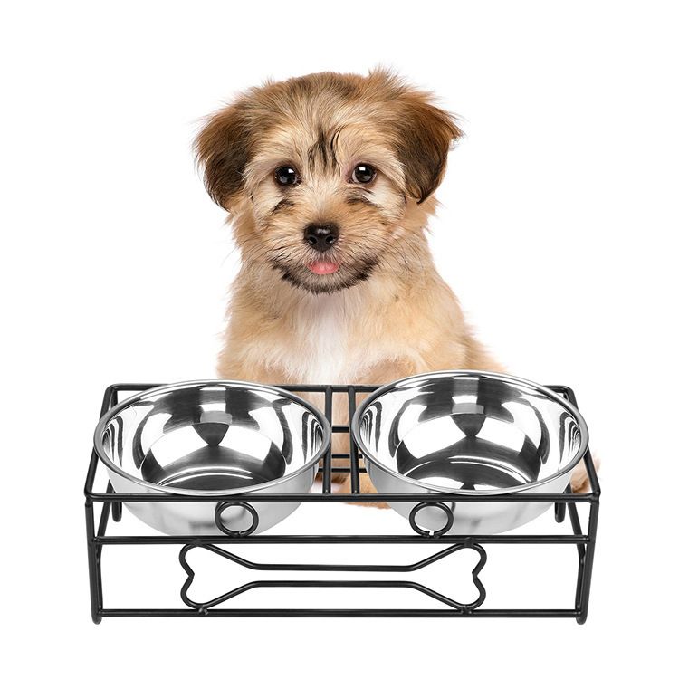 2022 Practical Solid Convenient Dog Bowls Feeder