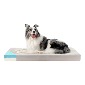 2022 amazon exquisite practical cool dog bed