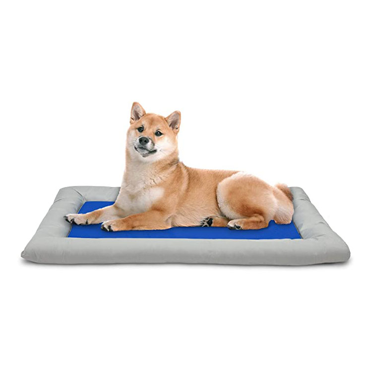 Solid Stable Sustaining Cool Dog Bed