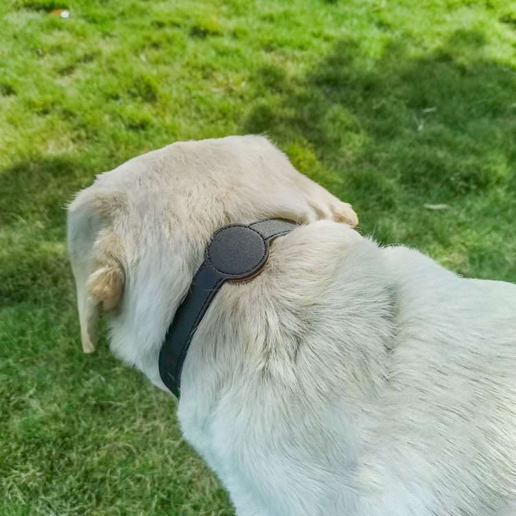 2022 Amazon Spot New Pet PU Microfiber Dog Positioning Collar Rope 