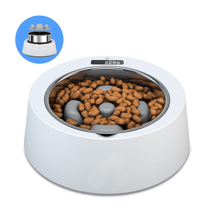 Water Dispenser Feeder Stand Raised Elevated Slow Food Bowl for Dogs