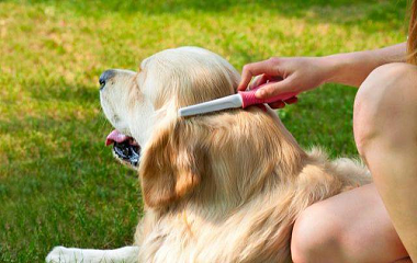 Precautions when using pet hair removal brushes