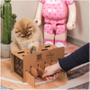 Manufacturers Spring Wholesale Pet Cat Interactive Toys