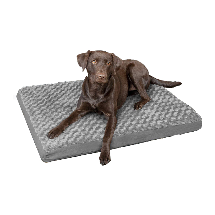 Gel Jumbo Xxl Oval Foam Memory Dog Bed for Large Pet with Removable Cover