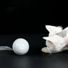 High Quality Best Price Cat Laser Toy With Funny Feather Automatic Lifting Interactive