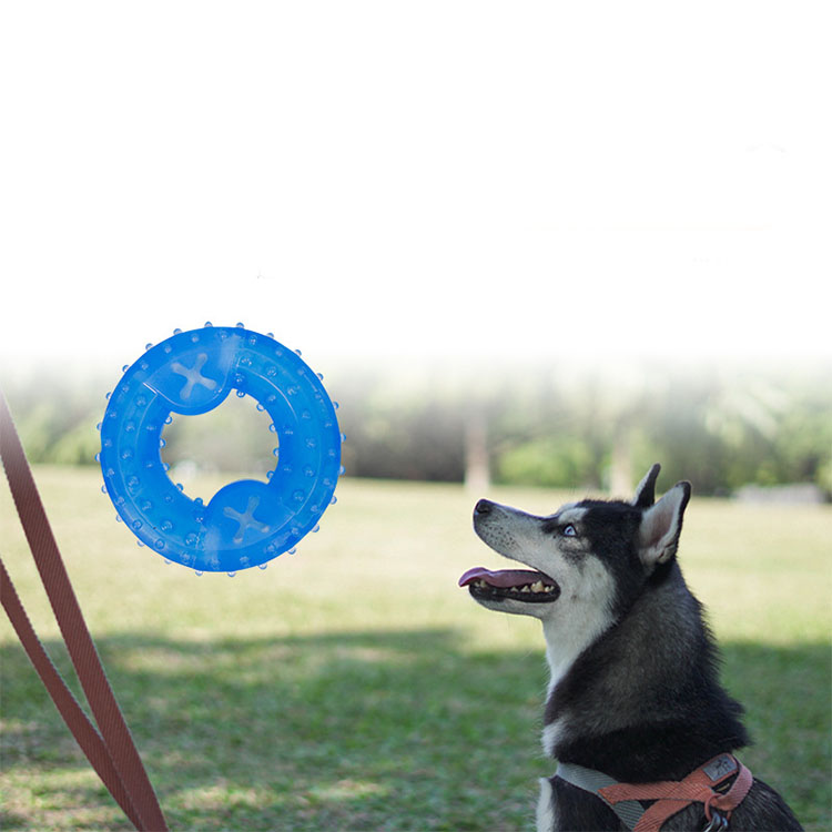 Frozen Summer Dog Molar TPR Ice Ring Summer Cooling Toy