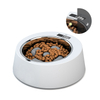 Water Dispenser Feeder Stand Raised Elevated Slow Food Bowl for Dogs