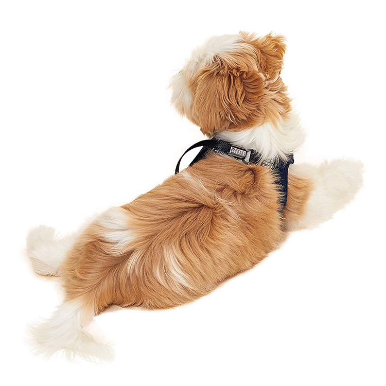 Pet Soft Vest Adjustable Leash Harness Pet Dog Harness