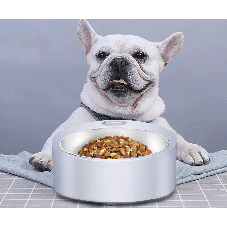 Non Slip Stainless Steel Pet Bowl with Smart Weighted Dog Bowls