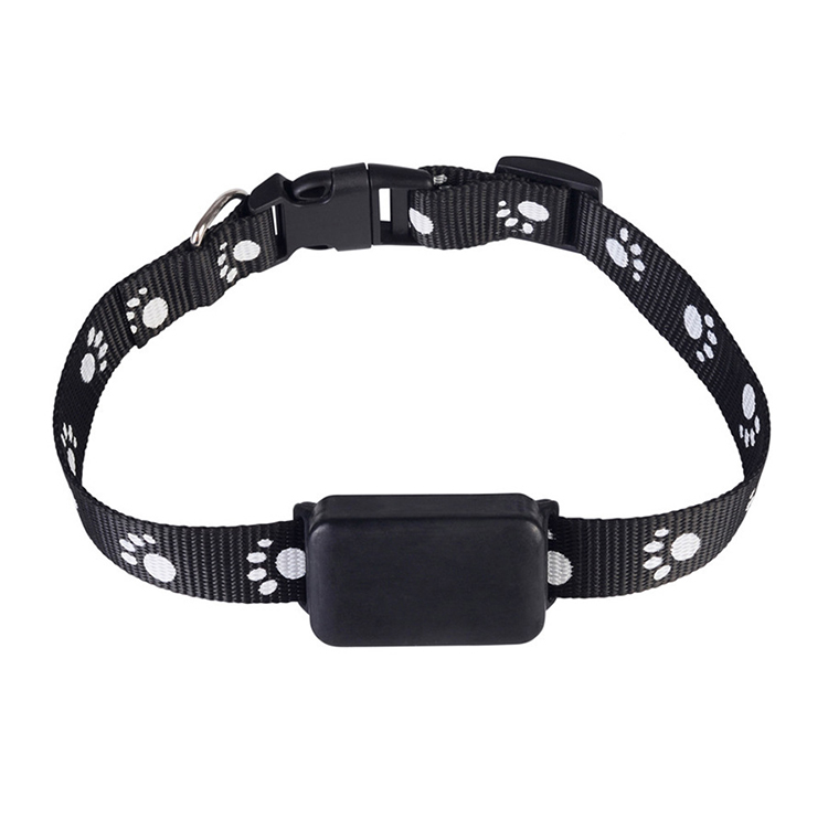 Fashion Innovative No Bark Personalized Black Dog Chain Collar