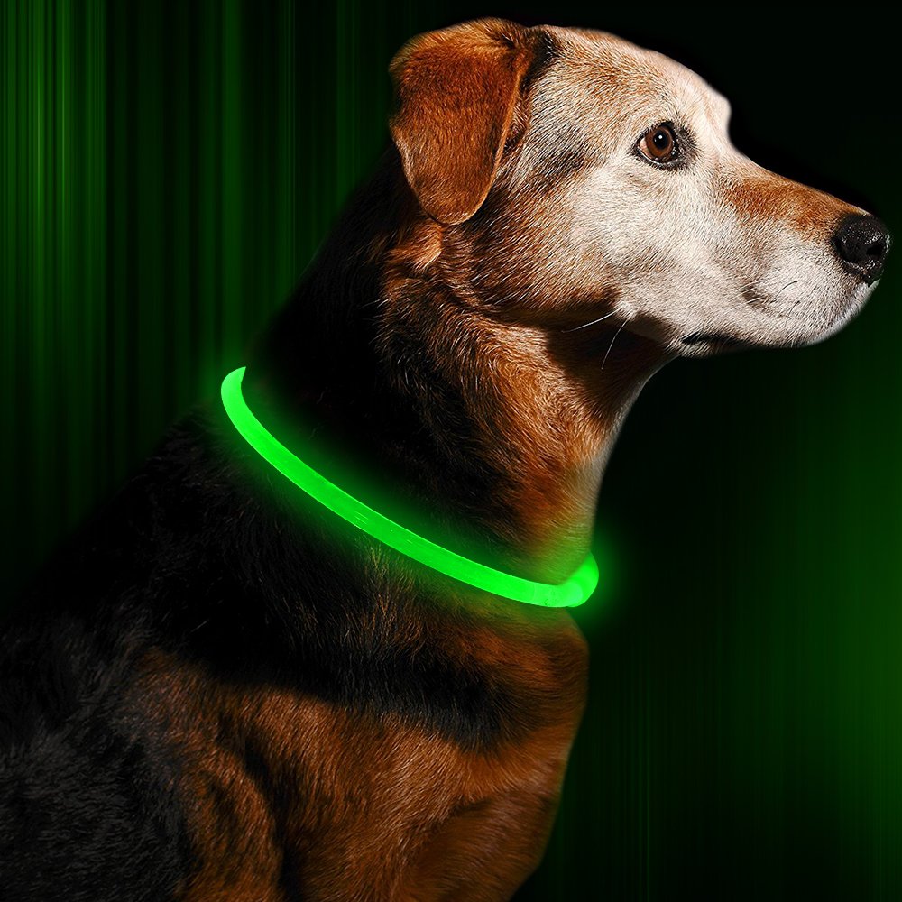 Cuztomise Led Luxury Personalized Wholesale Dog Collar