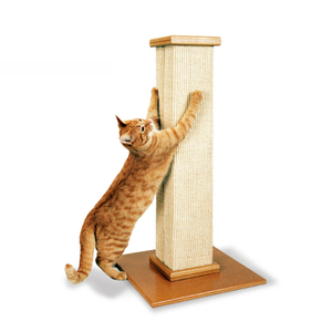 Amazon Best Seller High Quality Cat Scratcher Toys Cat Tree