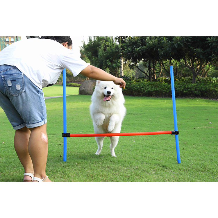 Wholesale Free Samples Durable Interactive Pet Dog Toys
