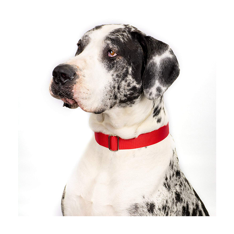 Spiked Wholesale Wholesale Manufacturers Custom Dog Collar Nylon