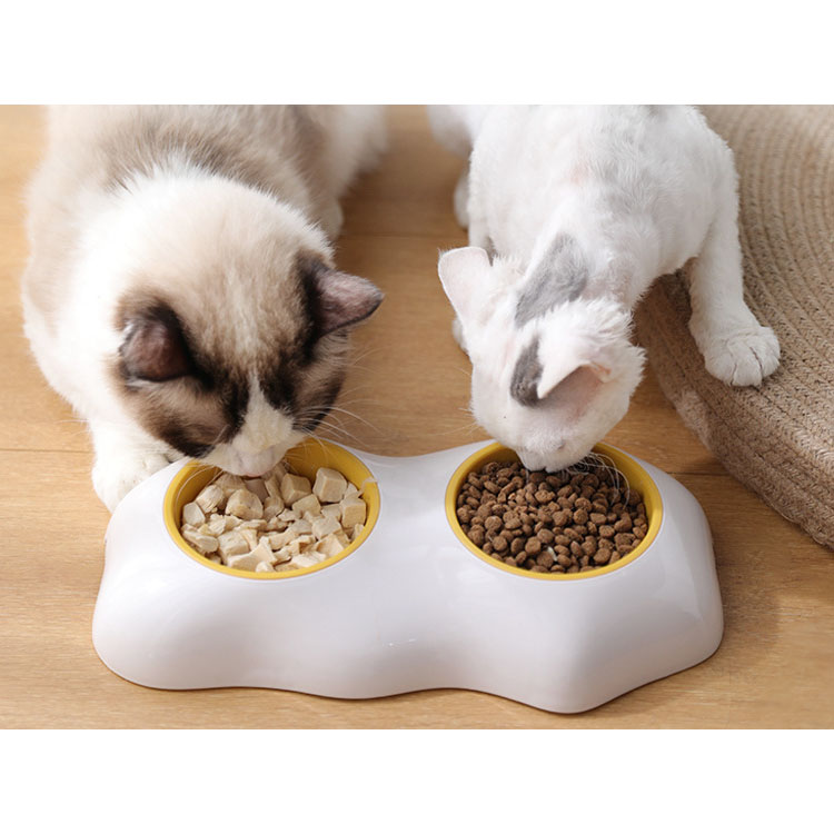 Disassemble, Wash And Spill Proof Cat Drink Water Feed Small Dog Teddy Dog Single Bowl Egg Yolk Bowl 
