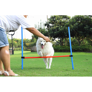 Wholesale Free Samples Durable Interactive Pet Dog Toys